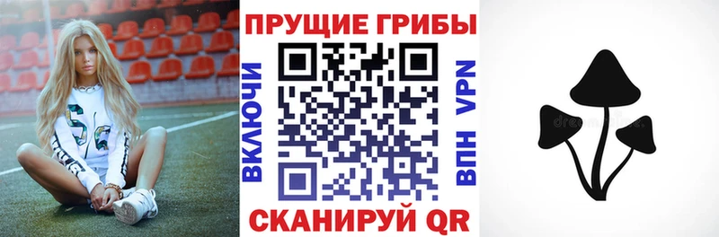 Галлюциногенные грибы Magic Shrooms Кола